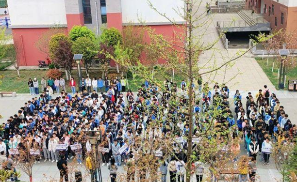 平安校園在我心，安全行動手中行