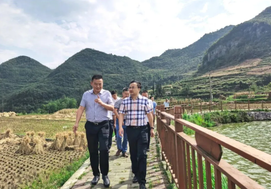 畢節(jié)工業(yè)職業(yè)技術學院黨委書記李涌、院長邱國援率隊到鄉(xiāng)村振興駐村聯(lián)系工作點調研