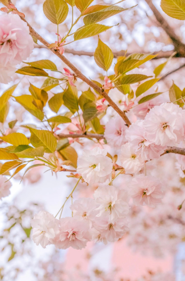 這一陣春風，讓工職院學子為之心動